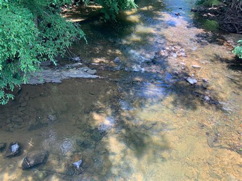 20 acres in Burke County, North Carolina