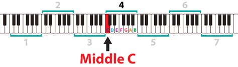 The Musical Staff Clefs And The Middle C Note Piano Music Theory