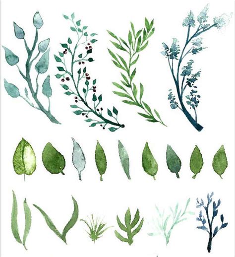 Watercolor Floral Greenery Clipart Downloadable Commercial Etsy