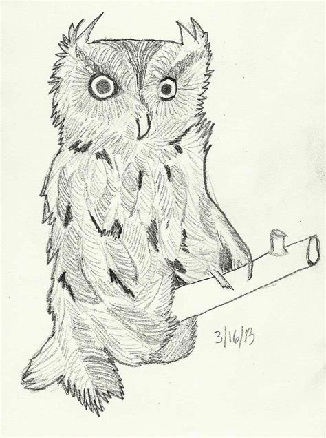 Owl Drawing Owl Sketch Owls Drawing Sketches Birds Reference