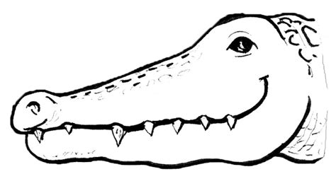 Alligator Head Drawing At Getdrawings Free Download