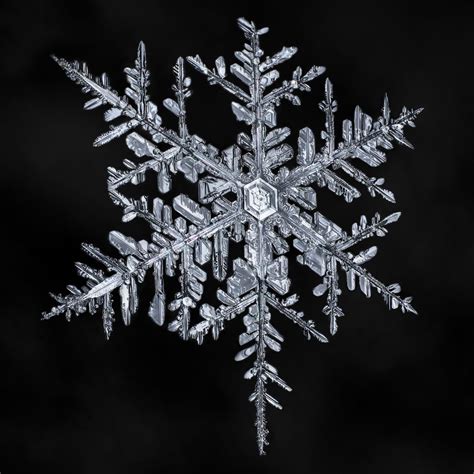 Don Komarechka Posted A Photo The First Snowflake Photographed This