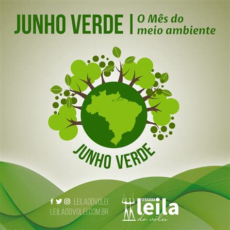 Junho Verde Senado Ter M S Dedicado Agenda Ambiental Leila Do V Lei