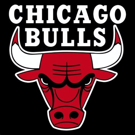 Chicago Bulls Tickets Promotions | Rauner Family YMCA of Metro Chicago ...