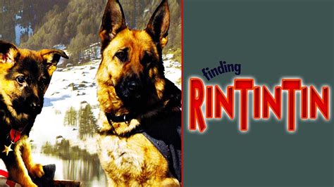 Watch Finding Rin Tin Tin 2007 Full Movie Free Online Plex