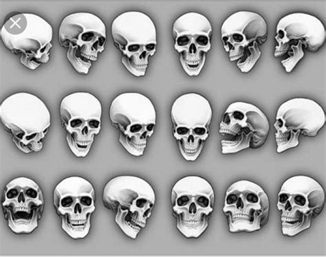 Skull Angles Skull Reference Skull Art Skulls Drawing