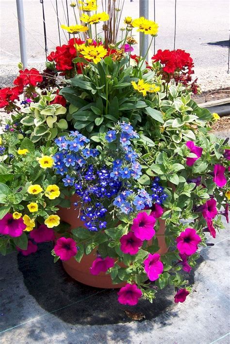 Putting potted plants in the sun, i.e. Best summer container garden ideas 61 | Container garden ...