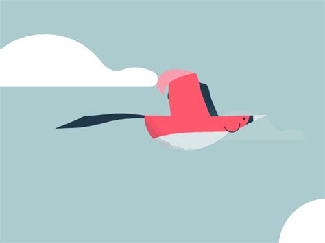 Looping S №5 — Some Of Our Favourite Artists Flying Birds Images