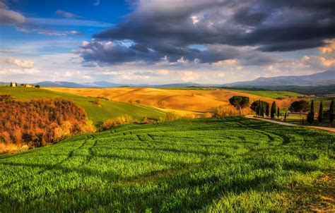 Wallpaper The Sky Grass Clouds Trees Field Italy Sunny Meadows