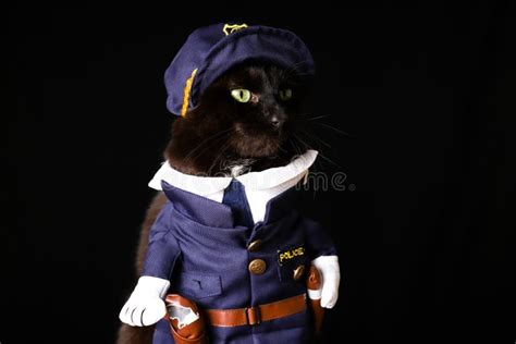 Black Cat Dressed As A Police Officer Stands On Top Of A Wooden Table