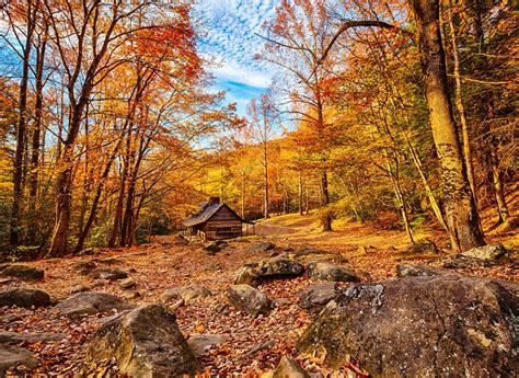 Where To See Americas Best Fall Foliage Outside New England