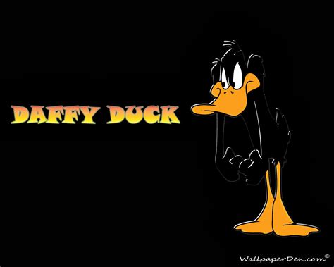 Free Download Free Hd Wallpaper Download Daffy Duck Wallpaper
