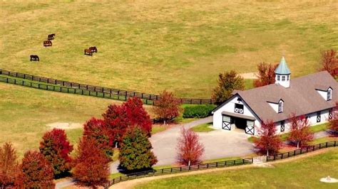 From The Sky Witness The Magic Of Kentucky Horse Farms In The Fall