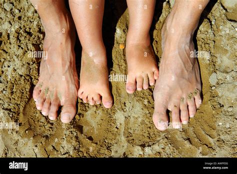 Four Toes Each Foot Hi Res Stock Photography And Images Alamy