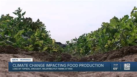 Experts How Climate Change Impacts Food Production Supply