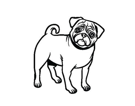 Pug Outline Drawing Free Download On Clipartmag