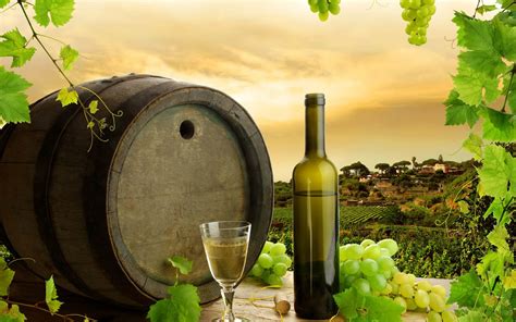 Vineyard And Wine Wallpaper Wallpapersafari