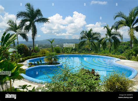 Central America Costa Rica Golfito Landscape Nature Swimming Pool