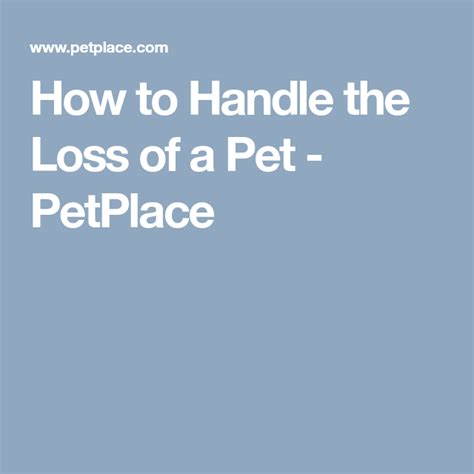 How To Handle The Loss Of A Pet Petplace Pet Grief Grief Support Pets