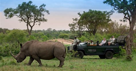 South Africa Big Five Safari Timbavati Game Reserve