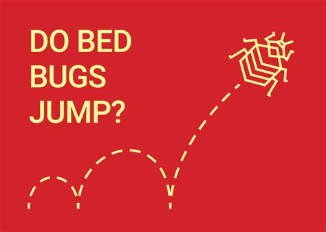 Do Bed Bugs Jump Dodson Pest Control