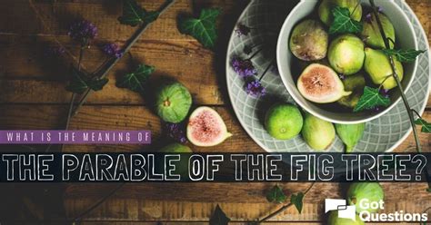 What Is The Meaning Of The Parable Of The Fig Tree