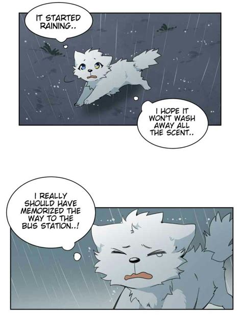 Lumine Webtoon Warrior Cats Comics Furry Comic Webtoon