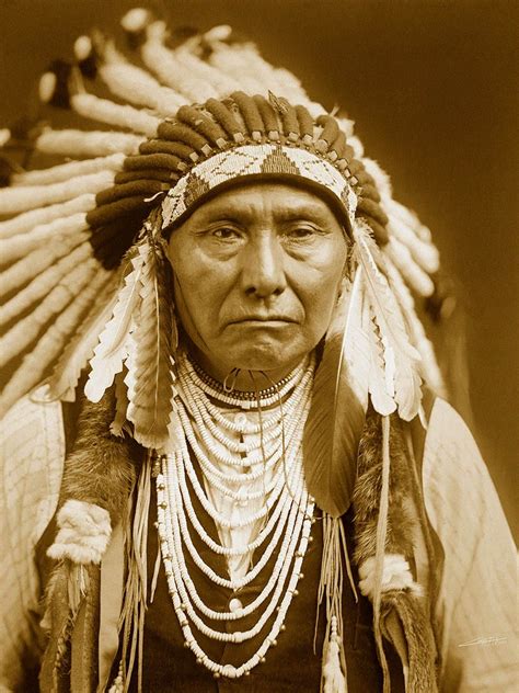 Free Download American Chief Wallpaper Wallpaper Native American Chief
