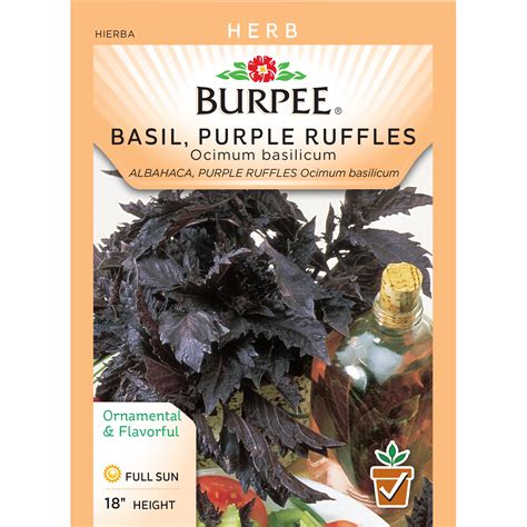 Burpee Basil Purple Ruffles Seed Packet