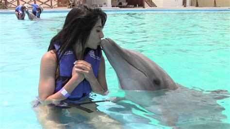 Kissing A Dolphin 😍 Youtube