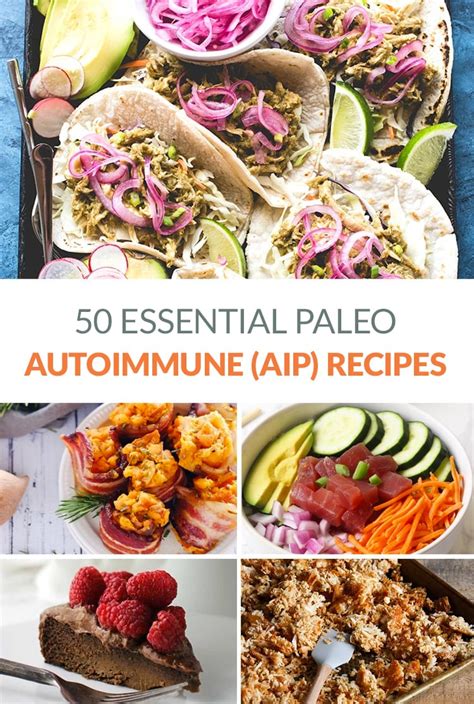 50 Essential Paleo Aip Recipes