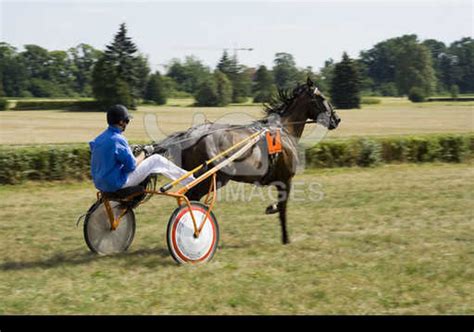 Royalty Free Image Of Horse Trotting Cart Race