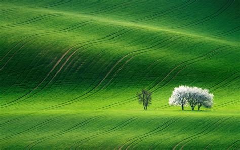 Wallpaper Spring Green Fields Trees 2880x1800 Hd Picture Image