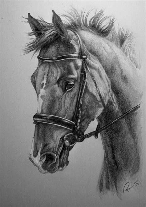 Horse Commission By Nutlu Realistic Animal Drawings Horse Art