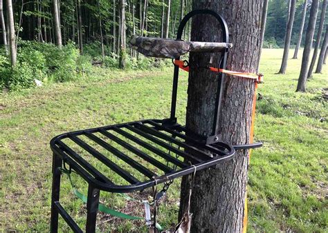 Best Ladder Tree Stand For Elevating Your Hunting Experience