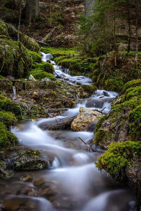 Smoothly Flowing Stream Of Water In The Woods Stock Photo Image 46549459