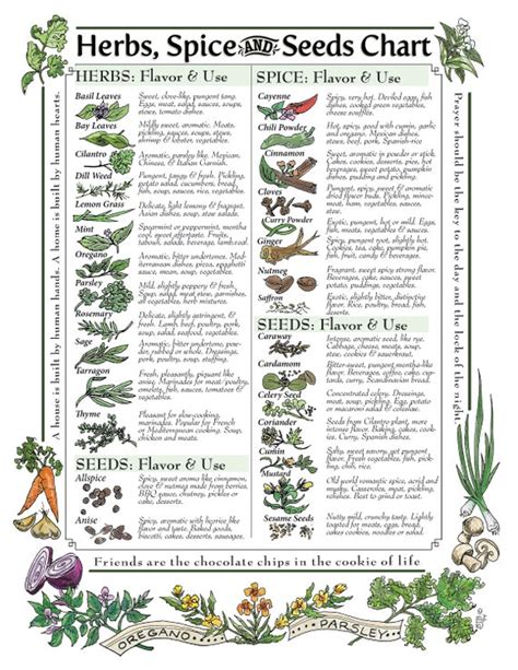 Printable Medicinal Herb Chart Labb By Ag