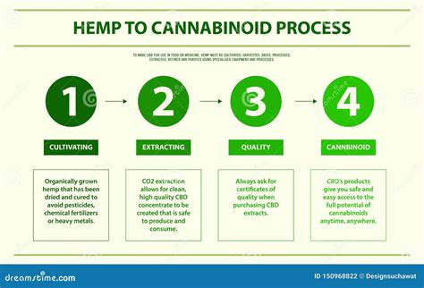 Hemp To Cannabinoid Process Horizontal Infographic Stock Vector