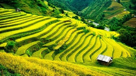 8 Amazing Places In Vietnam You Must Visit - NPV Beverage