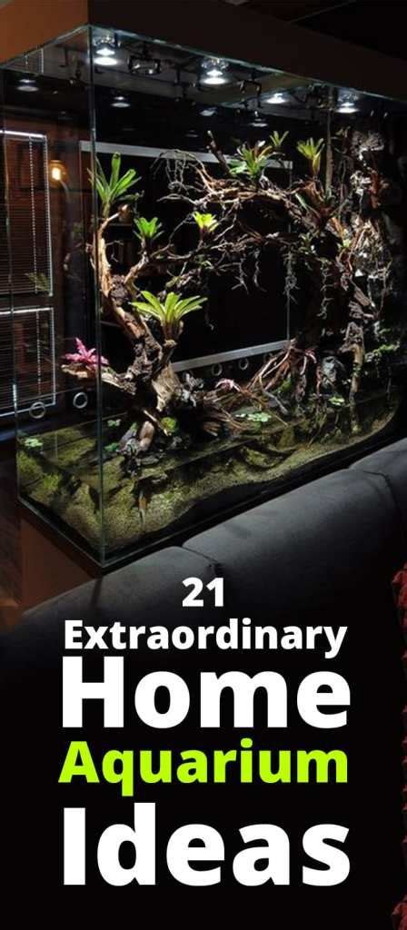 21 Stunning Home Aquarium Ideas Home Aquarium Aquarium Amazing