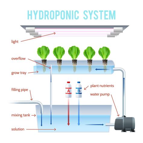 2 Types Of Hydroponic Drip System And Some Tips To Apply
