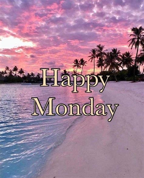 Pin By Donald On Quick Saves Good Morning Happy Monday Happy Monday