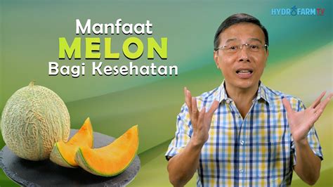 Manfaat Melon Bagi Kesehatan Youtube
