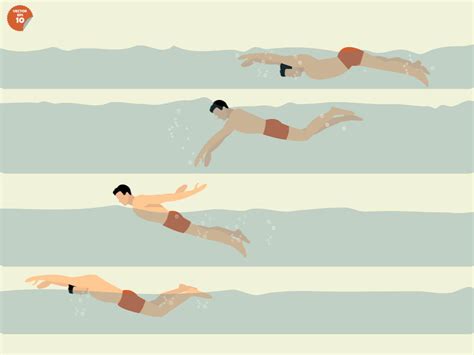 Swimming Strokes Simple Swimming Strokes Aqua Leisure