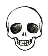 Snap, tough, & flex cases created by independent artists. How to Draw a Skull: Create Your Own Evil Skull Drawings ...