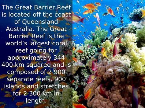 The Great Barrier Reef By Blake Foster