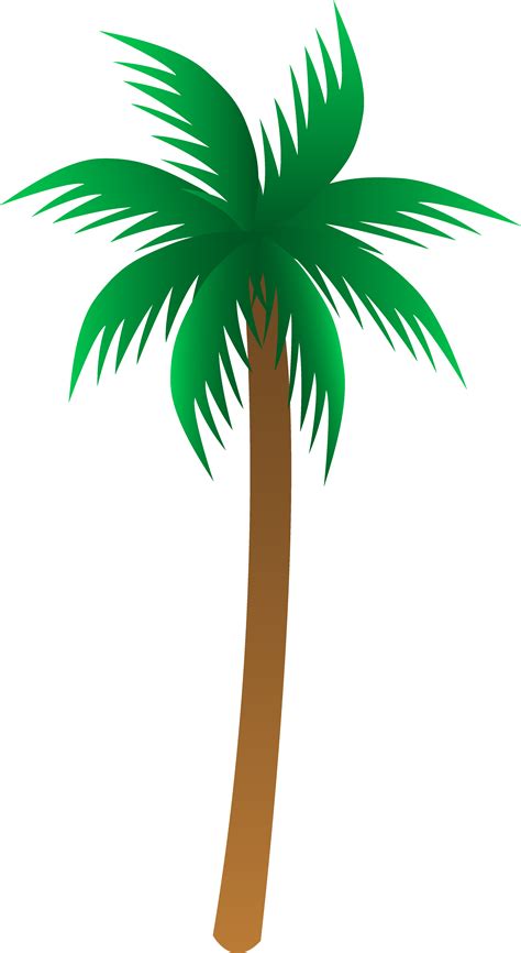 Palm Tree Clipart Tropical Palm Trees Wikiclipart