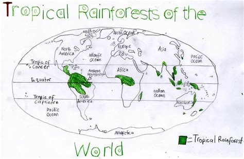 Large swaths of tropical rainforest are also located in southeast asia. Virtual Vacation and Geography - 4th Grade