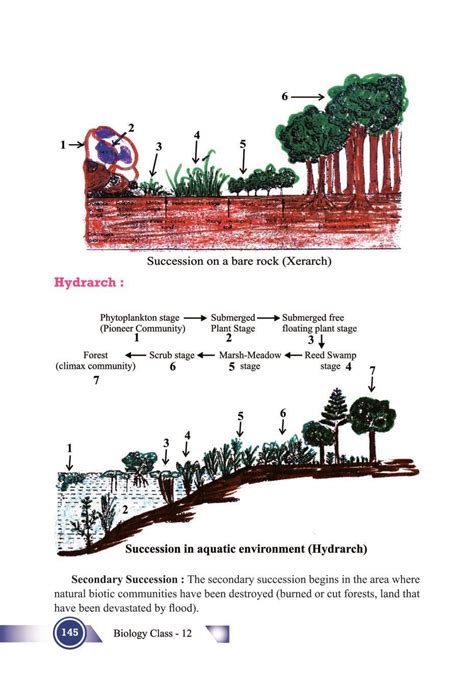 Ecosystem Notes For Class 12 Biology Pdf Oneedu24