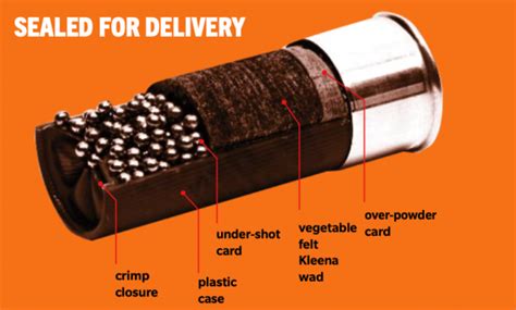 Shotgun Wads Explained Heres What You Need To Know